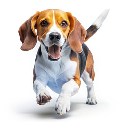 Similar image 22589784