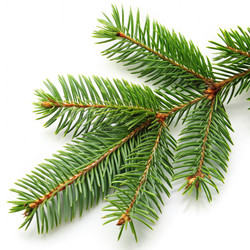 Similar image 22590052