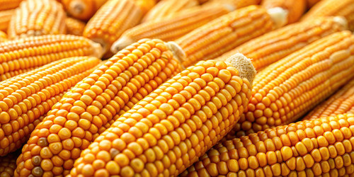 Similar image 22589454