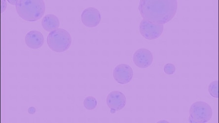 Similar image 22564712