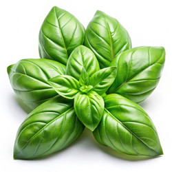 Similar image 22589664