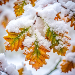 Similar image 22589710