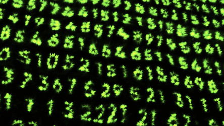 Similar image 22563648