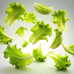 Similar image 22589469