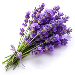 Similar image 22589546