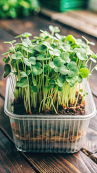 Similar image 22589559