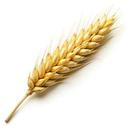 Similar image 22590041