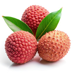 Similar image 22590059