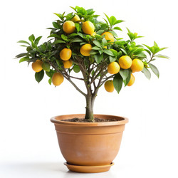 Similar image 22585482