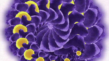 Similar image 22571223