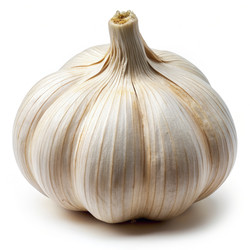 Similar image 22590074