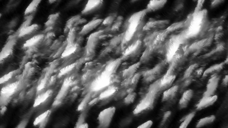 Similar image 22572598