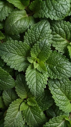 Similar image 22590193