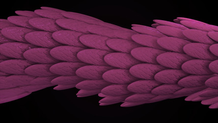 Similar image 22567722