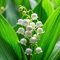 Similar image 22589851