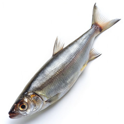 Similar image 22590063