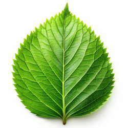 Similar image 22590270