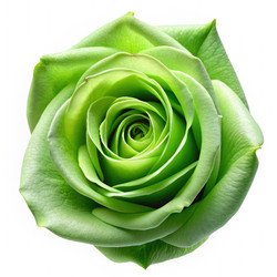 Similar image 22590289