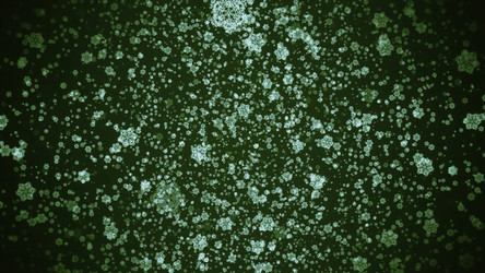 Similar image 22565387