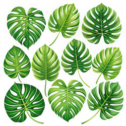 Similar image 22589584