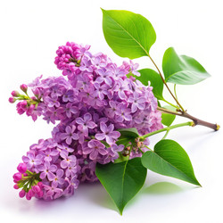 Similar image 22589600