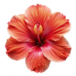 Similar image 22589601