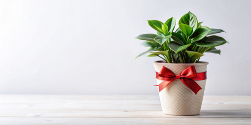 Similar image 22590110