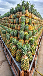 Similar image 22590199