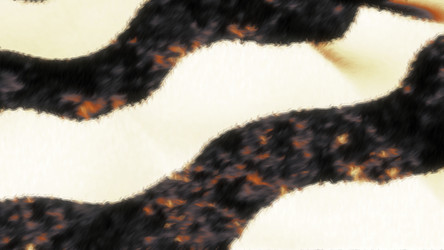 Similar image 22559431