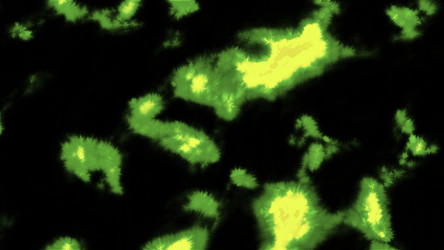 Similar image 22559582