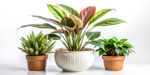 Similar image 22586403