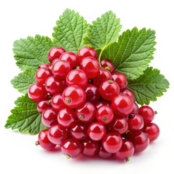 Similar image 22586389