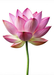 Similar image 22589734