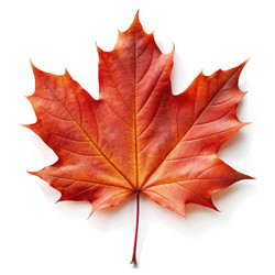 Similar image 22589749