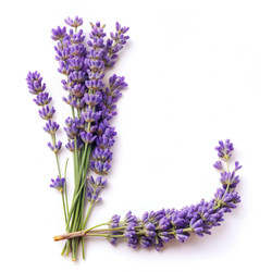 Similar image 22584722