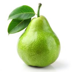 Similar image 22584846