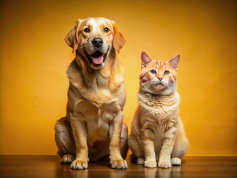 Similar image 22583916