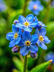 Similar image 22584288