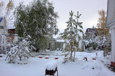 Similar image 22562927