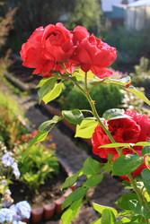 Similar image 22562928