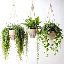 Similar image 22584576