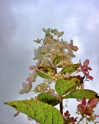 Similar image 22562929