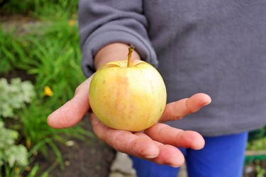 Similar image 22562930