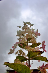 Similar image 22562931