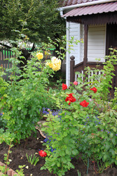 Similar image 22562932