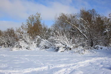 Similar image 22562934