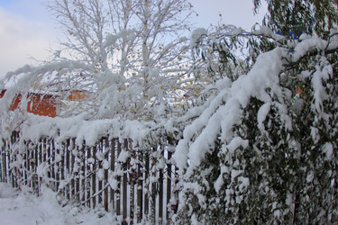 Similar image 22562935