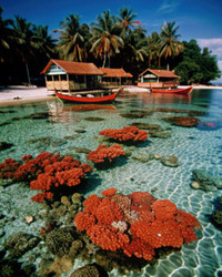 Similar image 22584724