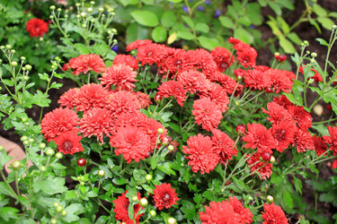 Similar image 22562937