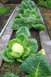 Similar image 22562938